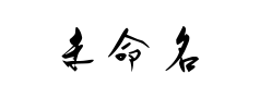 未命名预览