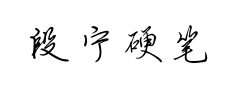 段宁硬笔行书预览